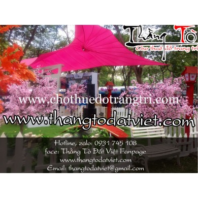 cho thuê cảnh Nhật Bản 13